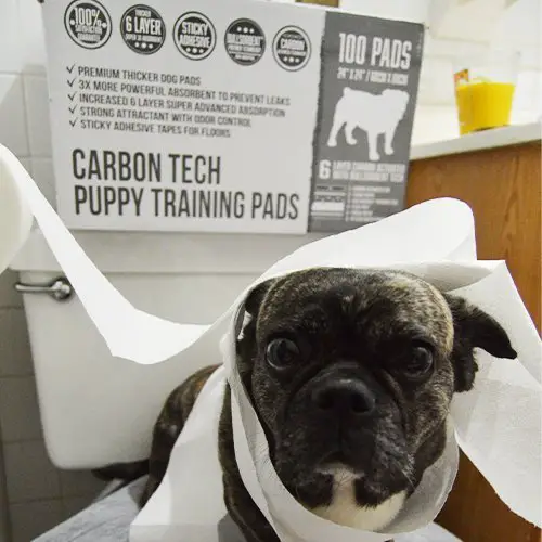 Premium Pet Training Pads XL 9 pp customer images 0007 DSC 0794