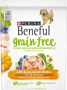 Purina-Beneful-Adult-Dry-Dog-Food