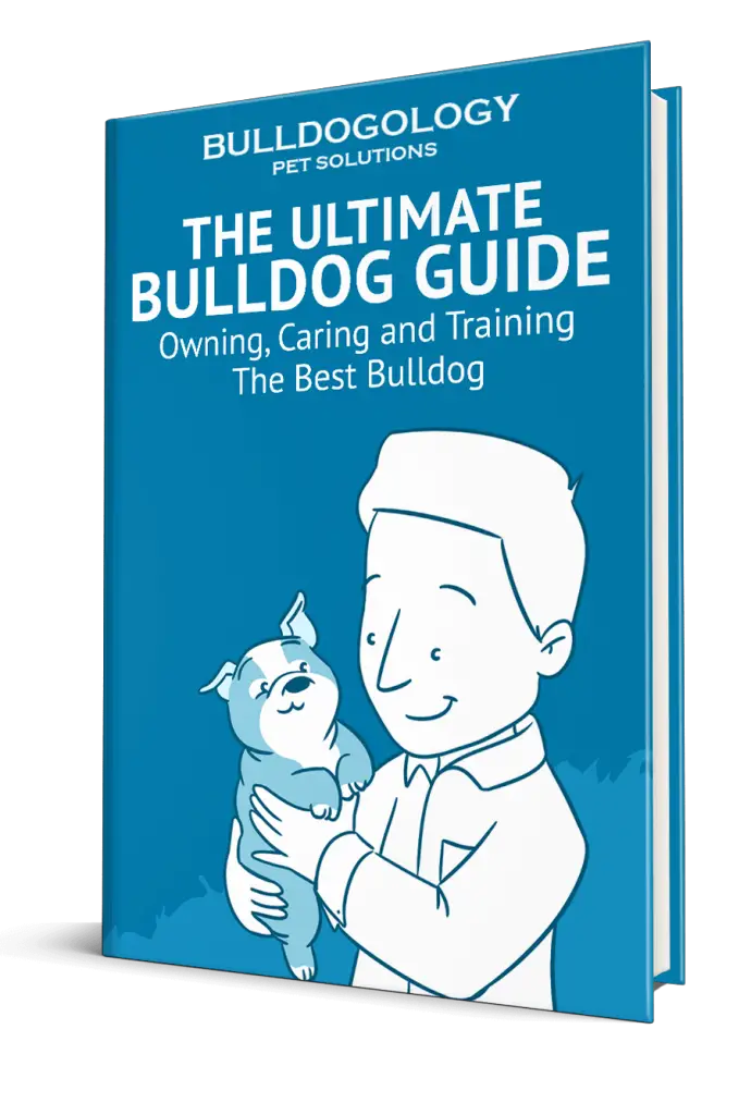 Download Bulldog Guide