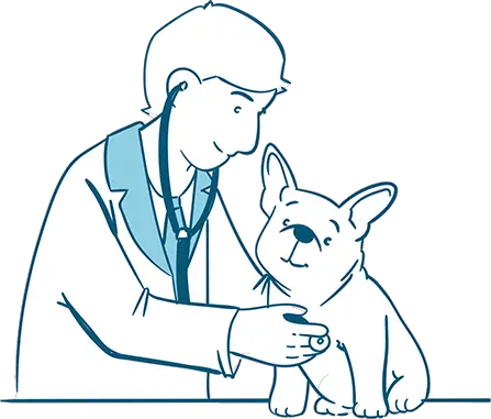 Visit a Vet Immediately if these Remedies Didn't Work