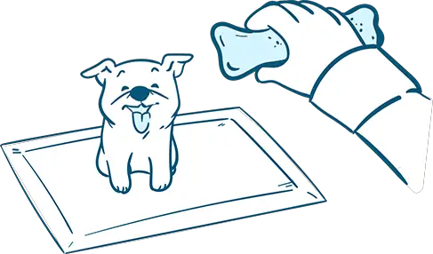 Give Your Dog Rewards During Bulldog Potty Training