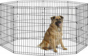 New World Pet Products Foldable Metal Exercise Pen & Pet Playpen