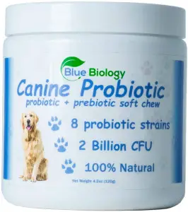 BlueBiology Canine Probiotic - Veterinarian Formulated