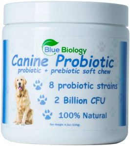 BlueBiology Canine Probiotic - Veterinarian Formulated