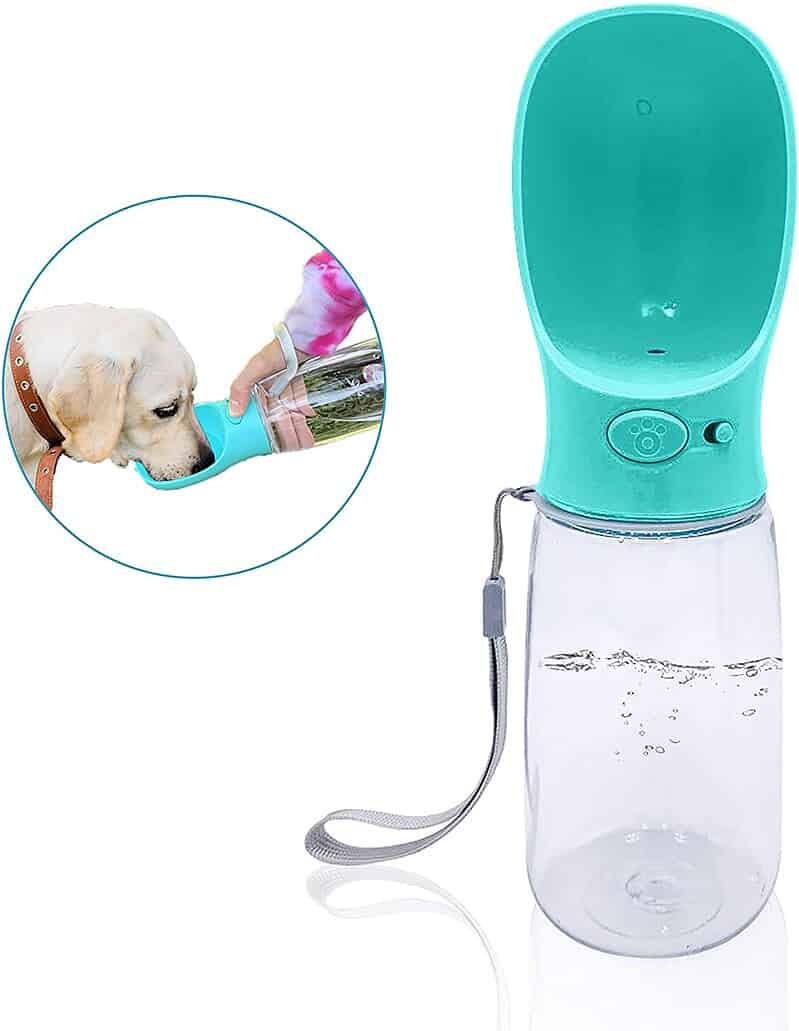 8 Best Dog Water Bottles in 2022 for Travel, Hiking, or Everyday Walks