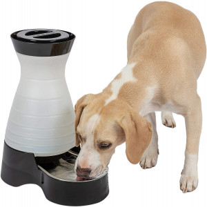 PetSafe Healthy Pet Gravity