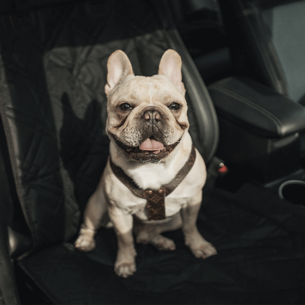 frenchie bulldog cover03 Dog Car Seat Covers