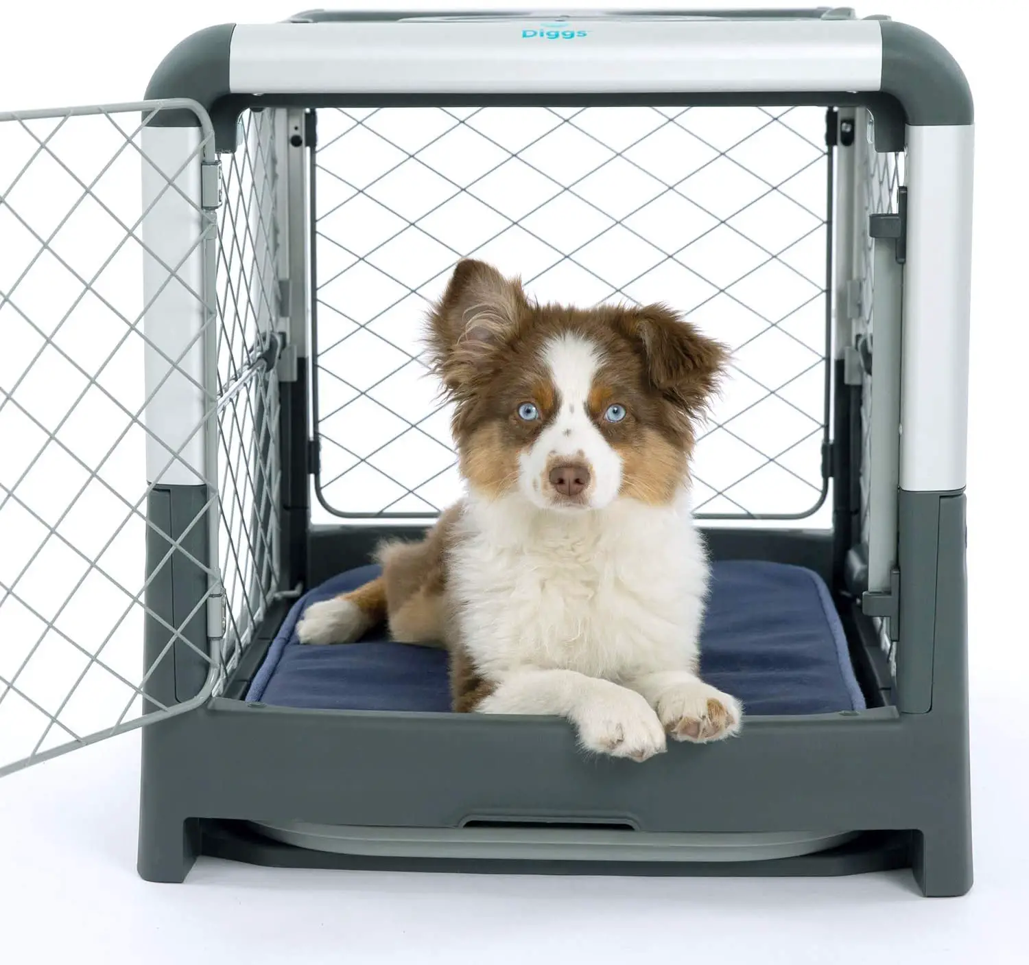 travel crate with dog