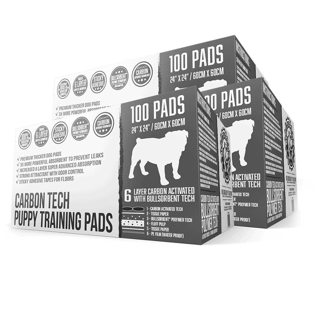 3xcpp100bundle01