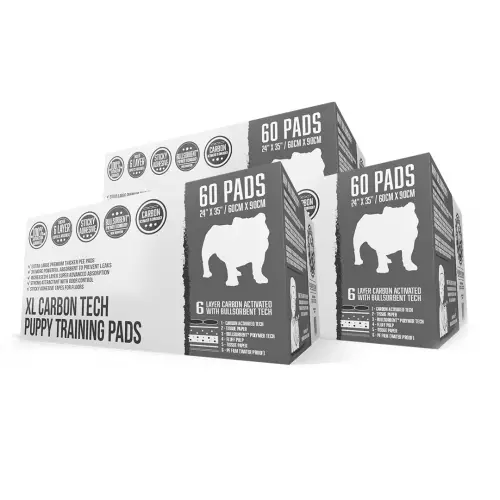 3xcpp60bundle01
