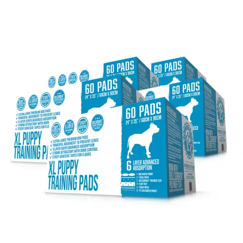 5xpp60bundle01