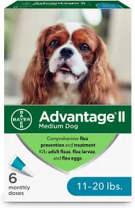  Advantage II 6-Dose Medium Dog Flea Prevention, Topical Flea Treatment for Dogs 11-20 Pounds