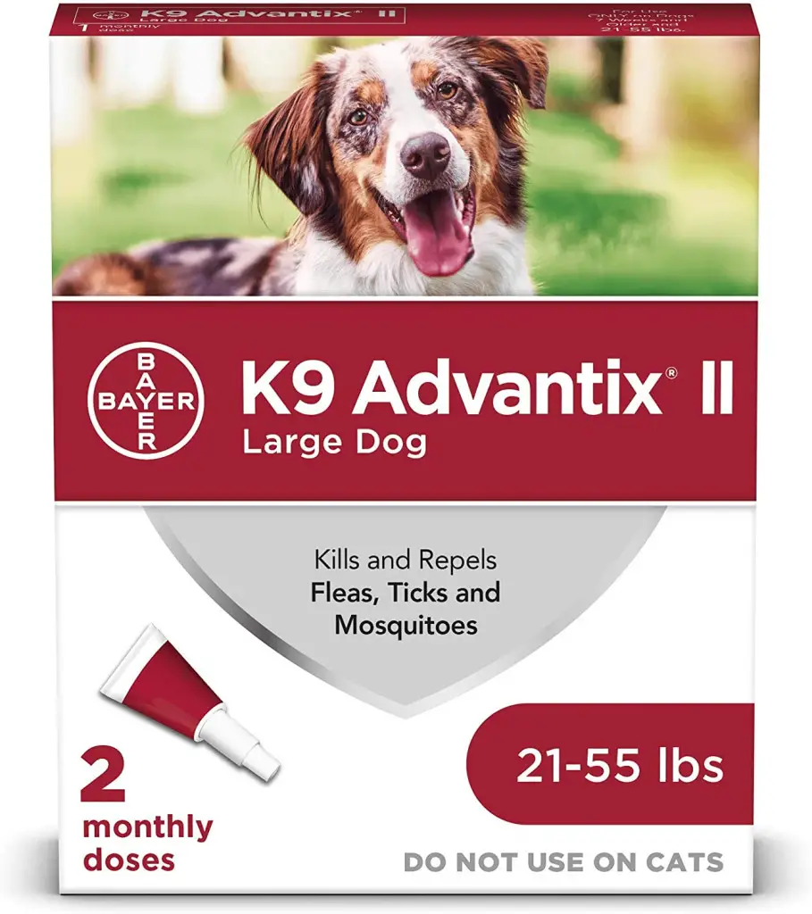 11 Best Tick Repellent for Dogs & How to Choose the Right One