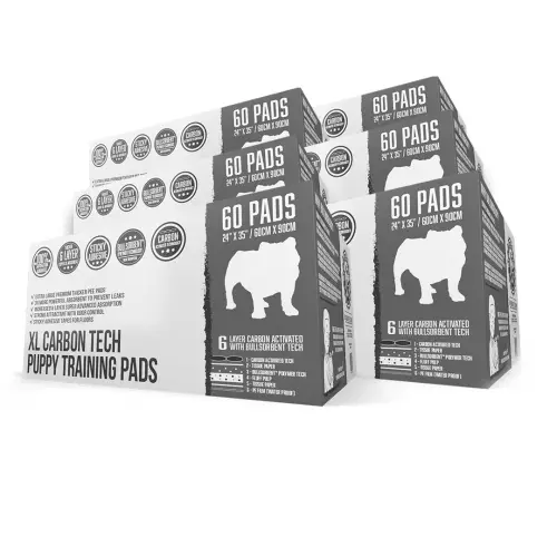 6xcpp60bundle01