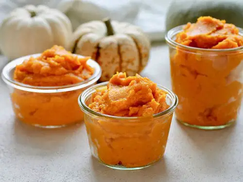 homemade pumpkin puree 3 500x375 1 How To Get A Sick Dog To Drink Water: 10 Simple Tips & Tricks