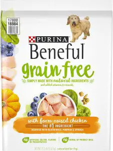 Purina Beneful Adult Dry Dog Food