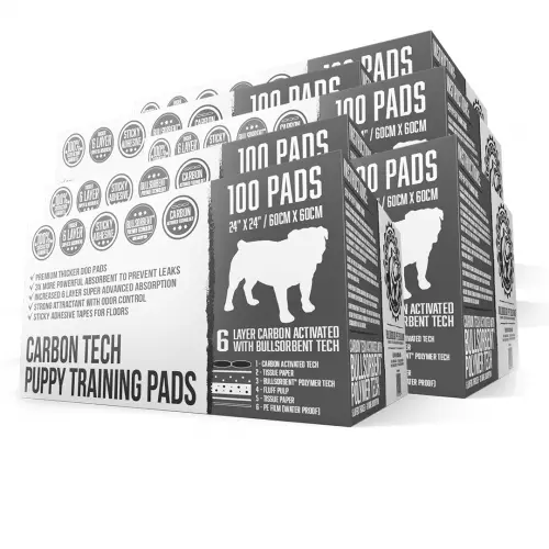 6xcpp100bundle01
