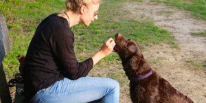 How to Stop Your Dog From Jumping On People