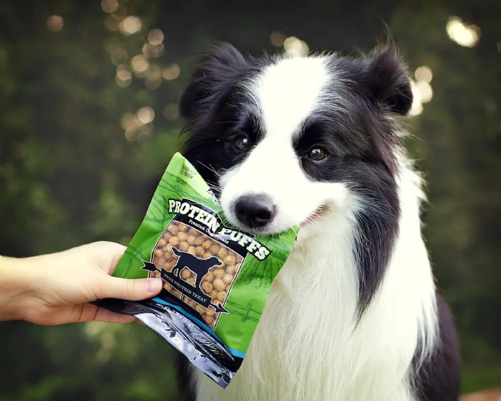 complete nutrition powder for dogs
