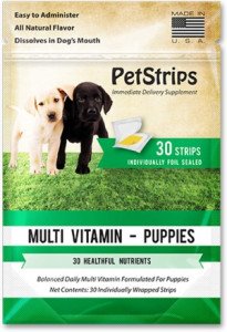 nuttrition powder for dogs 3 6 Best Nutrition Powder for Dogs: An Ultimate Buyer's Guide