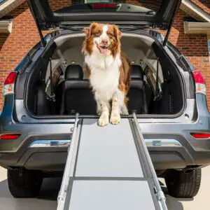 PetSafe Happy Ride Deluxe Telescoping Dog Ramp for Cars, Trucks, & SUVs