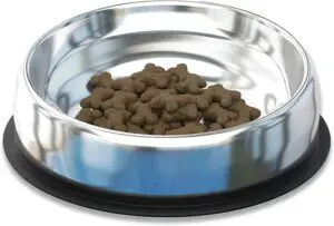 Enhanced Pet Bowl, Stainless Steel Slanted Dog Bowl