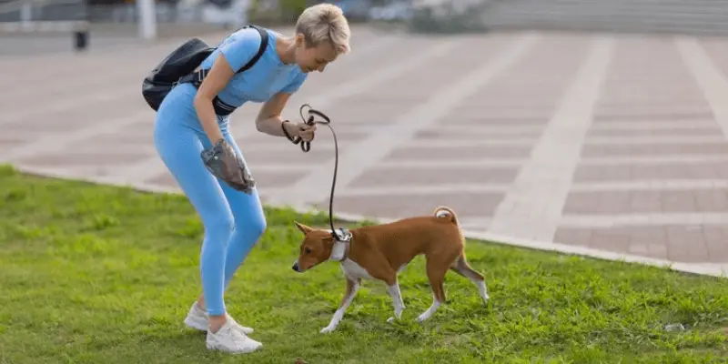 are dog poop bags smell proof