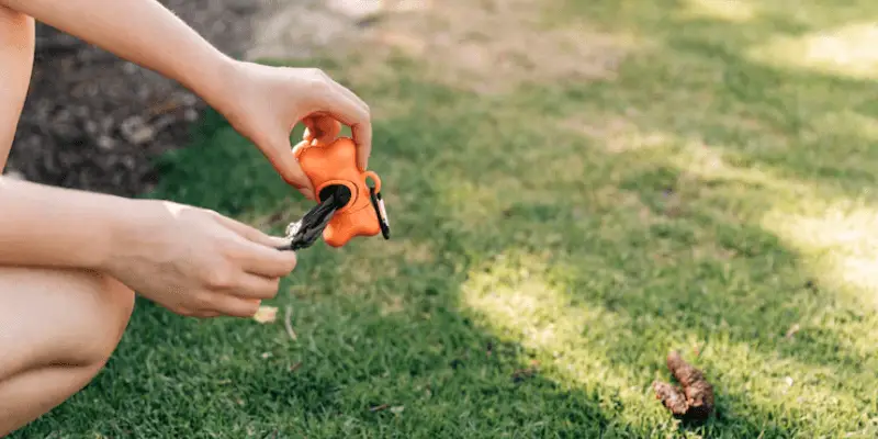 are dog poop bags smell proof