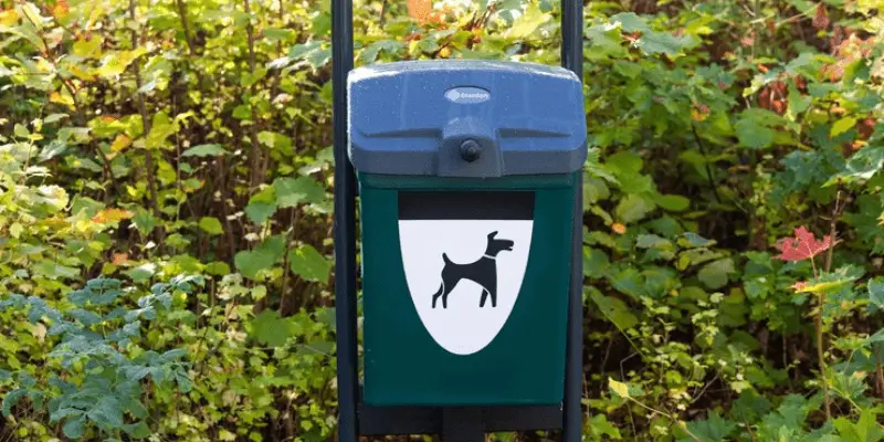 how to use dog poop bags_proper disposal
