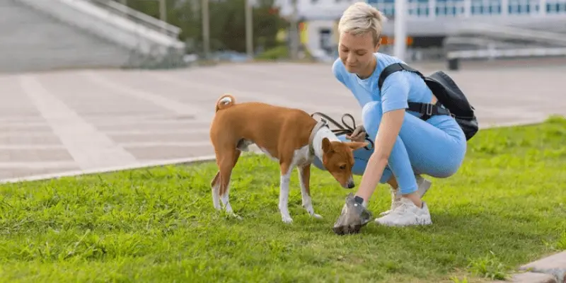 picking up dog waste with dog poop bags