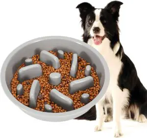 Dog Feeder Slow Eating Bowl for Raised Pet Feeders