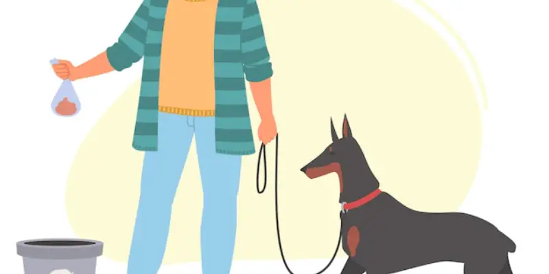 How to Dispose of Dog Poop Bags the Green Way 6 How to Dispose of Dog Poop Bags_use trashbins