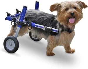 Dog Wheelchair - for Small Dogs 11-25 Pound