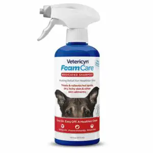 FoamCare Medicated Pet Shampoo by Vetericyn