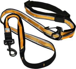 Kurgo’s 6-in-1 Reflective Crossbody Quantum Leash