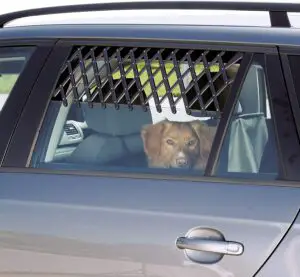 TRIXIE Valveation Lattice Car Window Guards For Dogs