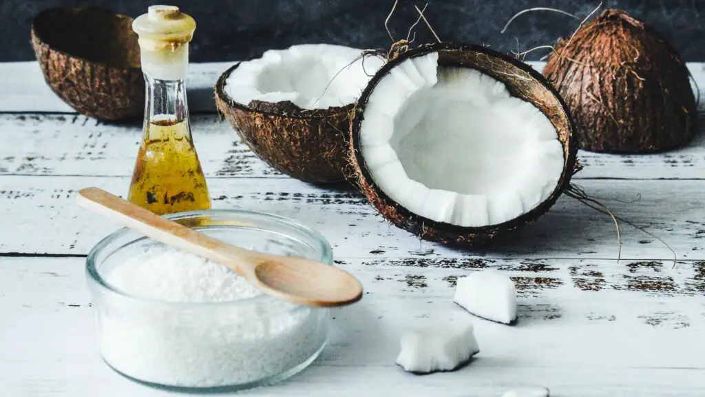 Can Dogs Eat Coconut? How to Feed It to Your Dog Safely 2 Untitled design 17 Can Dogs Eat Coconut? How to Feed It to Your Dog Safely