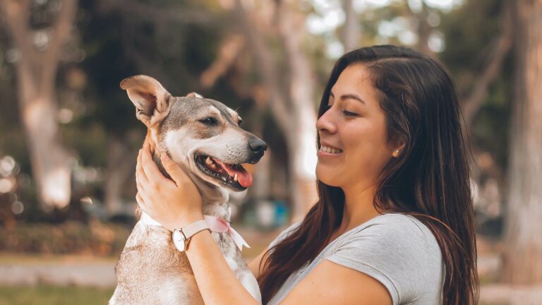 How Long Does It Take to Adopt A Dog? 13 Things You Need to Know Before and After Adopting Them
