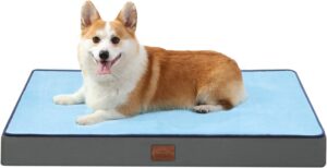 Bedfolks Memory Foam Orthopedic Dog Bed