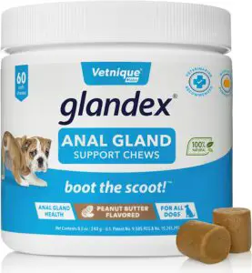 Glandex Anal Gland Soft Chew Treats with Pumpkin for Dogs-05