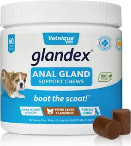 Glandex Anal Gland Soft Chew Treats with Pumpkin for Dogs
