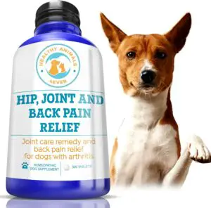 HealthyAnimals4Ever Arthritis Remedy for Dogs