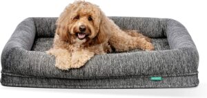 Newton Orthopedic Pet Bed