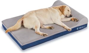Orthopedic Dog Bed, Large Dog Bed with Pillow