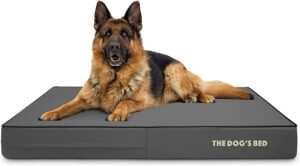 The Dog’s Bed Orthopedic Memory Foam Dog Bed