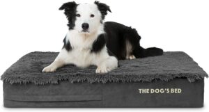The Dog’s Bed Orthopedic Memory Foam Dog Bed, Large Grey Fau