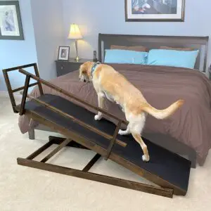 DoggoRamps Large Bed Ramp