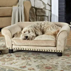 Enchanted Home Pet Dreamcatcher Dog Sofa