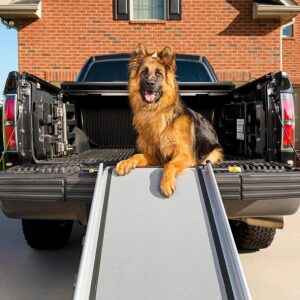 PetSafe Happy Ride Extra Long Telescoping Dog Ramp