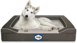 Sealy Lux Pet Dog Bed | Quad Layer Technology with Memory Foam